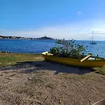 Mirko Ρόβινι