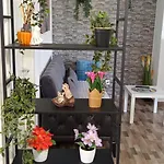 Mirko Appartement *