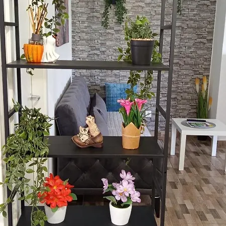 Mirko Apartament *
