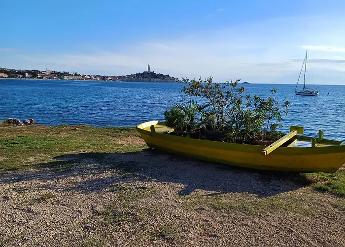 Mirko Rovinj