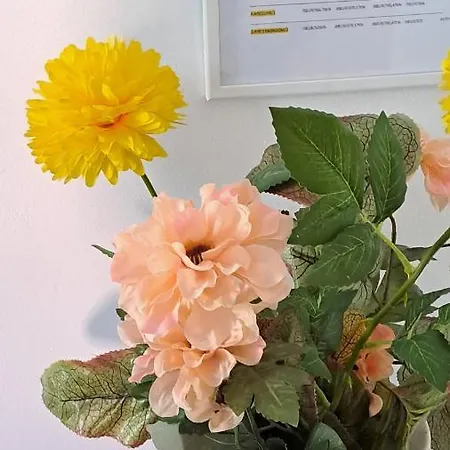 Apartamento Mirko Rovinj