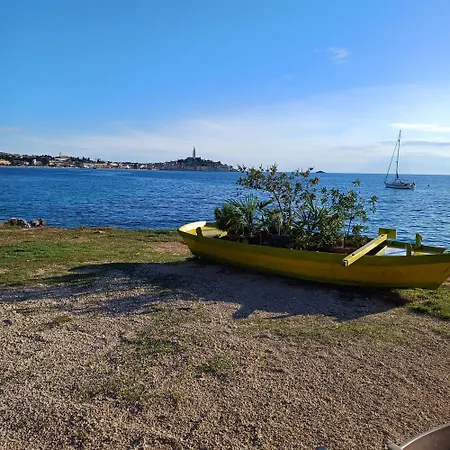 Mirko Rovinj