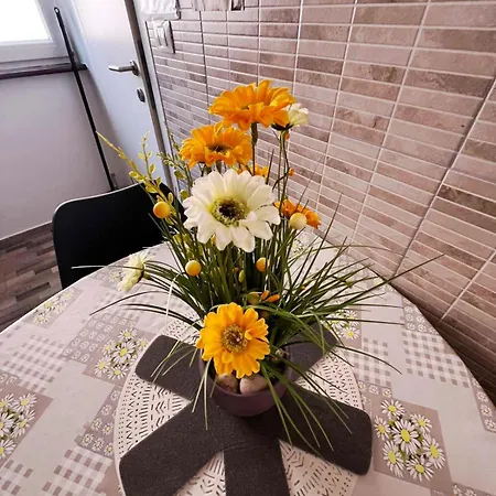Apartmán Mirko Rovinj