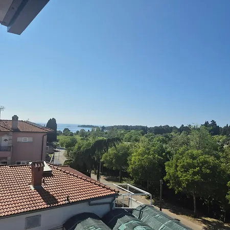 Mirko